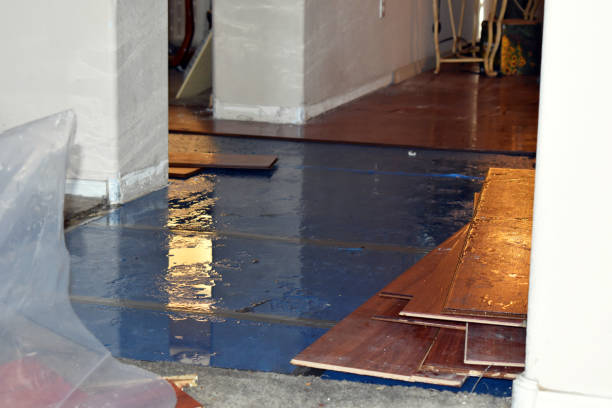 Professional Basement Flood Cleanup technician working in Tinsley, MS